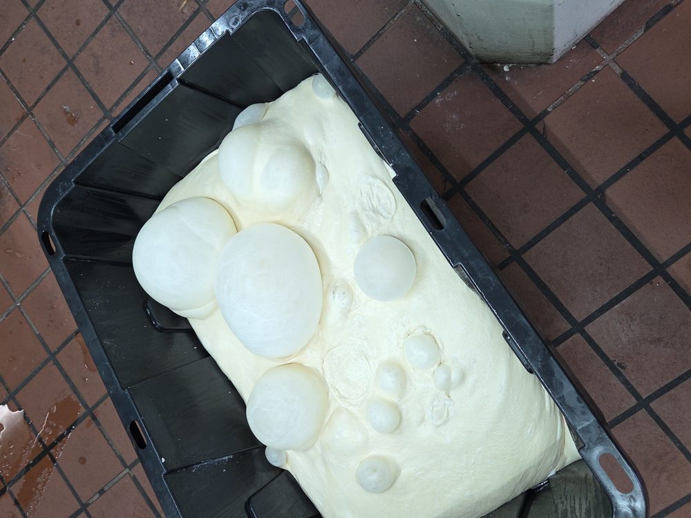 Rihana's 71% hydration dough bulk fermenting — big blistered bubbles after the cold rest